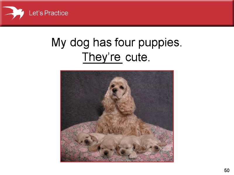 50 My dog has four puppies. ______ cute. They’re Let’s Practice